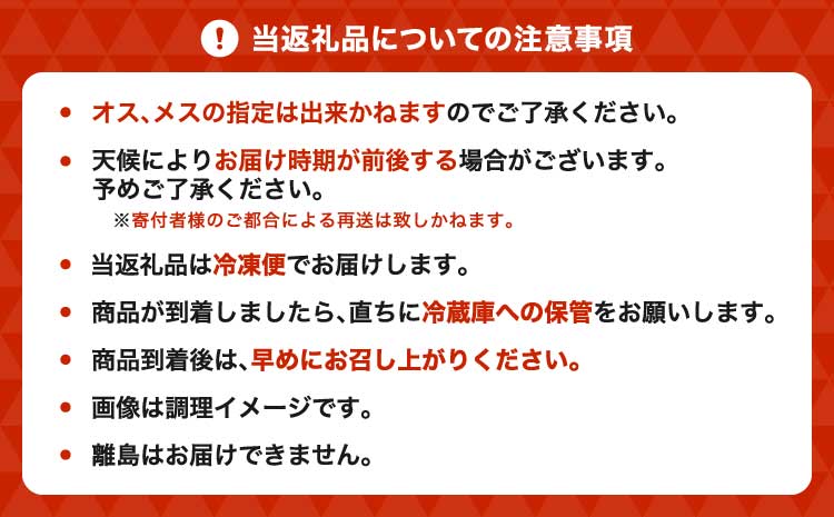 すっぽん 約400g すっぽん鍋 高級 簡単調理 すっぽん料理 スッポン スッポン鍋 加工 スッポン 冷凍肉 約400g