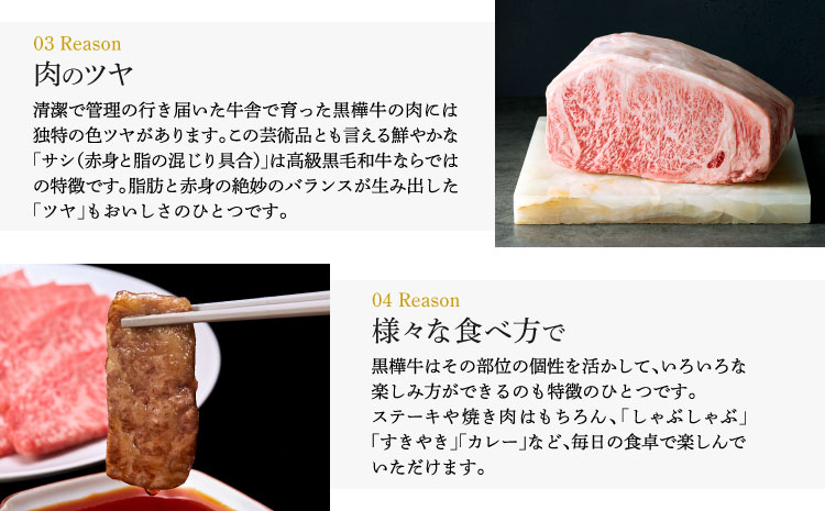 黒樺牛 ステーキ・焼き肉セット 約1.1kg 焼肉 牛肉 サーロインステーキ ロース焼き肉 白ホルモン タレ付き みそだれ 味噌 和牛 牛 ブランド牛 おかず BBQ バーベキュー 肉の日 冷凍 九州産 ギフト プレゼント 贈り物