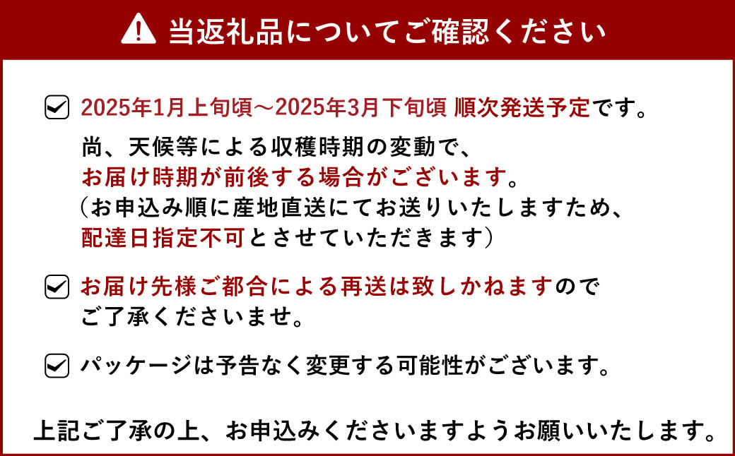 【2025年2月発送】糖度14度以上保証 ブランド苺「極幸乃香(きわみさちのか)」600g【園村苺園】