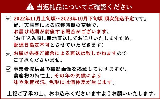 【11月上旬～順次発送予定】【令和4年度産】森のくまさん 精米 約10kg お米 熊本県宇城市産