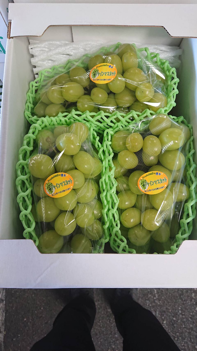 å®ååžç£ ã·ã£ã€ã³ãã¹ã«ãã çŽ1.8kg ãã¬ãã·ã¥ãã€ã¬ã¯ãã2026幎7æäžæ¬ã8æäžæ¬é é æ¬¡çºéäºå®ã