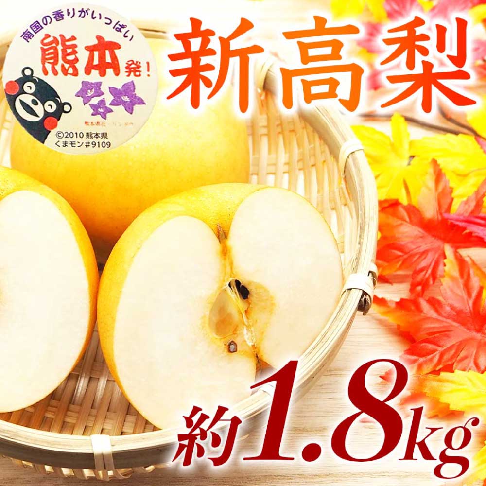 先行予約 新高梨 約1.8kg（5~8玉）【2026年9月上旬〜2026年10月上旬配送予定】 新高 国産 熊本県 熊本 九州 大玉 大きい ずっしり きめ細かい シャリシャリ 食感 日本フルーツ