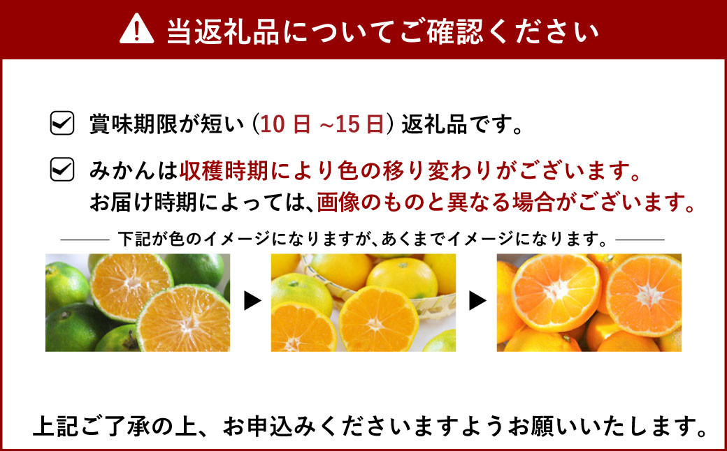 【12月下旬～順次発送予定】ポンカン 早生 8kg（40個前後）ひでみかん 柑橘 果物