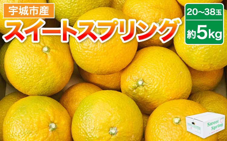 みかん スイートスプリング 約5kg（20～38玉）【2025年12月下旬~2026年1月下旬頃発送予定】 ミカン 蜜柑 柑橘 果物 くだもの フルーツ 常温 【株式会社la Nui.】