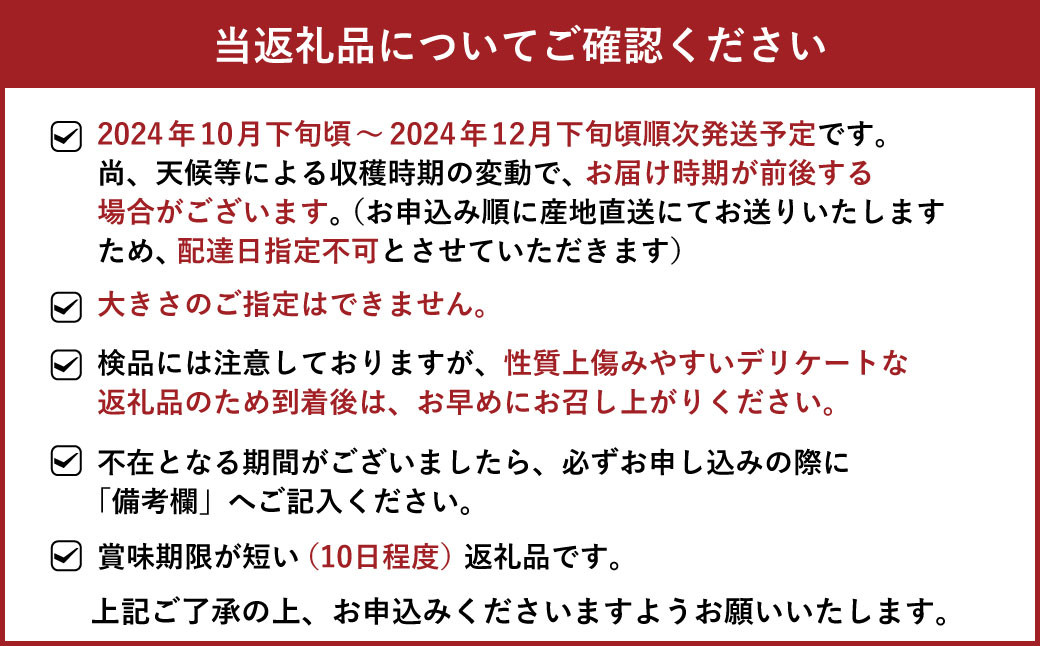 みかん 5kg 2L～2Sサイズ【2024年10月下旬～12月下旬発送予定】 果物 くだもの フルーツ ミカン オレンジ 柑橘