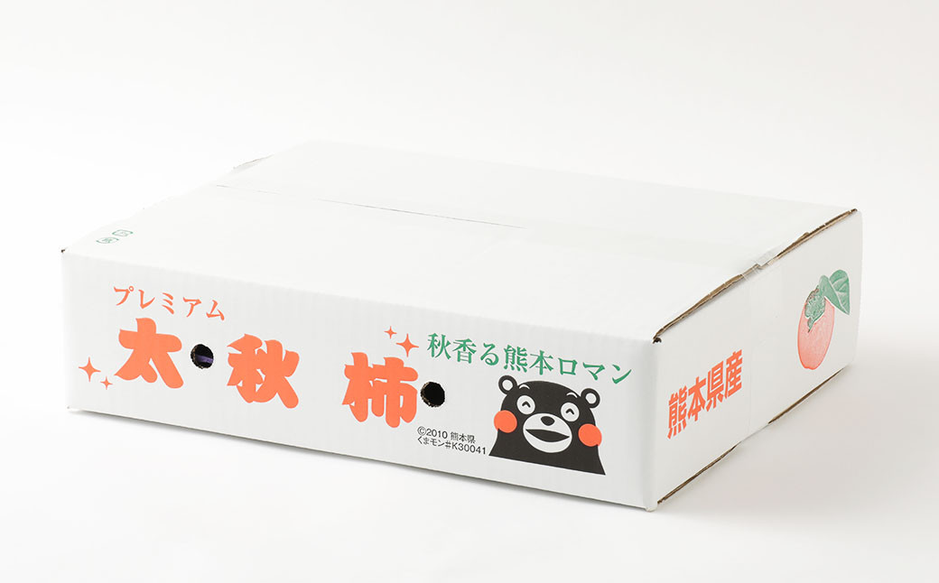 太秋柿 約3.5kg（9～12玉）【斉藤太秋柿園】【10月下旬から11月上旬発送予定】柿 かき 果物 フルーツ