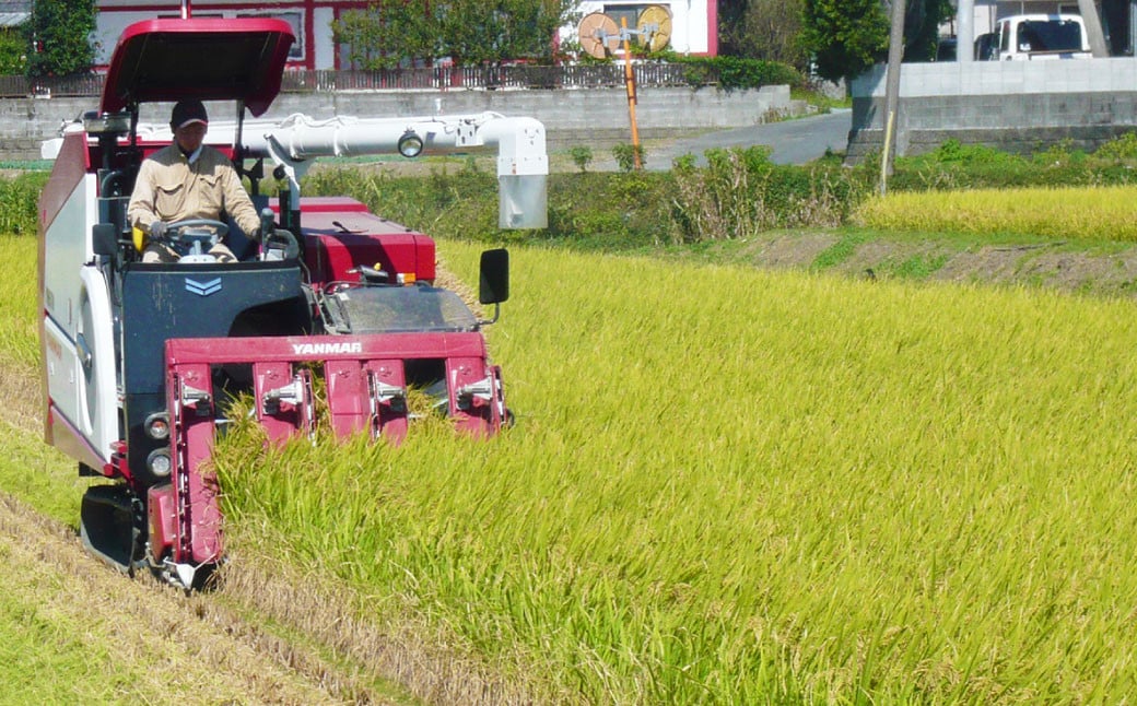 米 【選べる精米方法】【令和6年産】うきうきう米5kg【竹崎野村農園】【2025年10月下旬までに発送予定】 お米 コメ 精米 玄米 白米