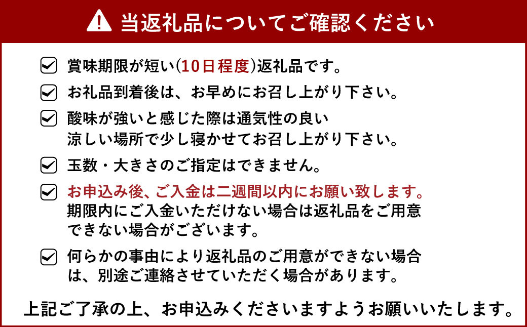 【先行予約】宇城市産  あーちゃん家の 不知火 5kg【2025年4月上旬～5月上旬発送予定】しらぬい 柑橘