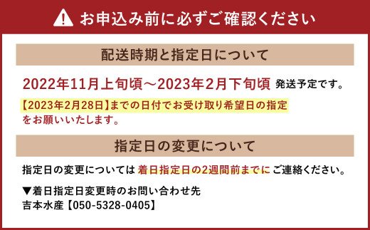 【11月上旬～順次発送予定】熊本県産 活き 車海老 大サイズ 厳選品 約1kg（22～34尾程度）エビ えび 活き海老