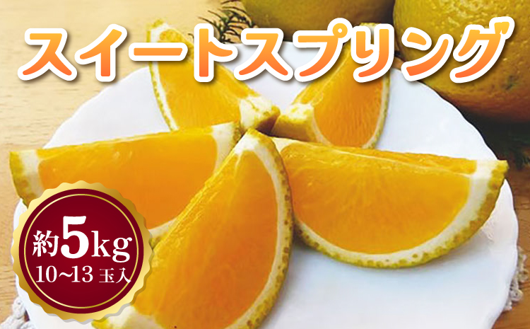【先行予約】 スイートスプリング 約5kg 10〜13玉 【吉田レモニー】【2026年2月上旬-4月下旬発送】みかん 柑橘