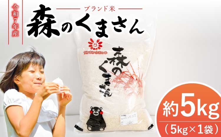 令和7年産 米 新米 森のくまさん 5kg 【2025年11月上旬から2026年10月下旬発送予定】 白米 うるち米 お米 精米 コメ ごはん ご飯 おこめ 精白米 ブランド米 単一米 国産 熊本県産 九州 熊本県 宇城市 熊本宇城農業協同組合 JA熊本うき