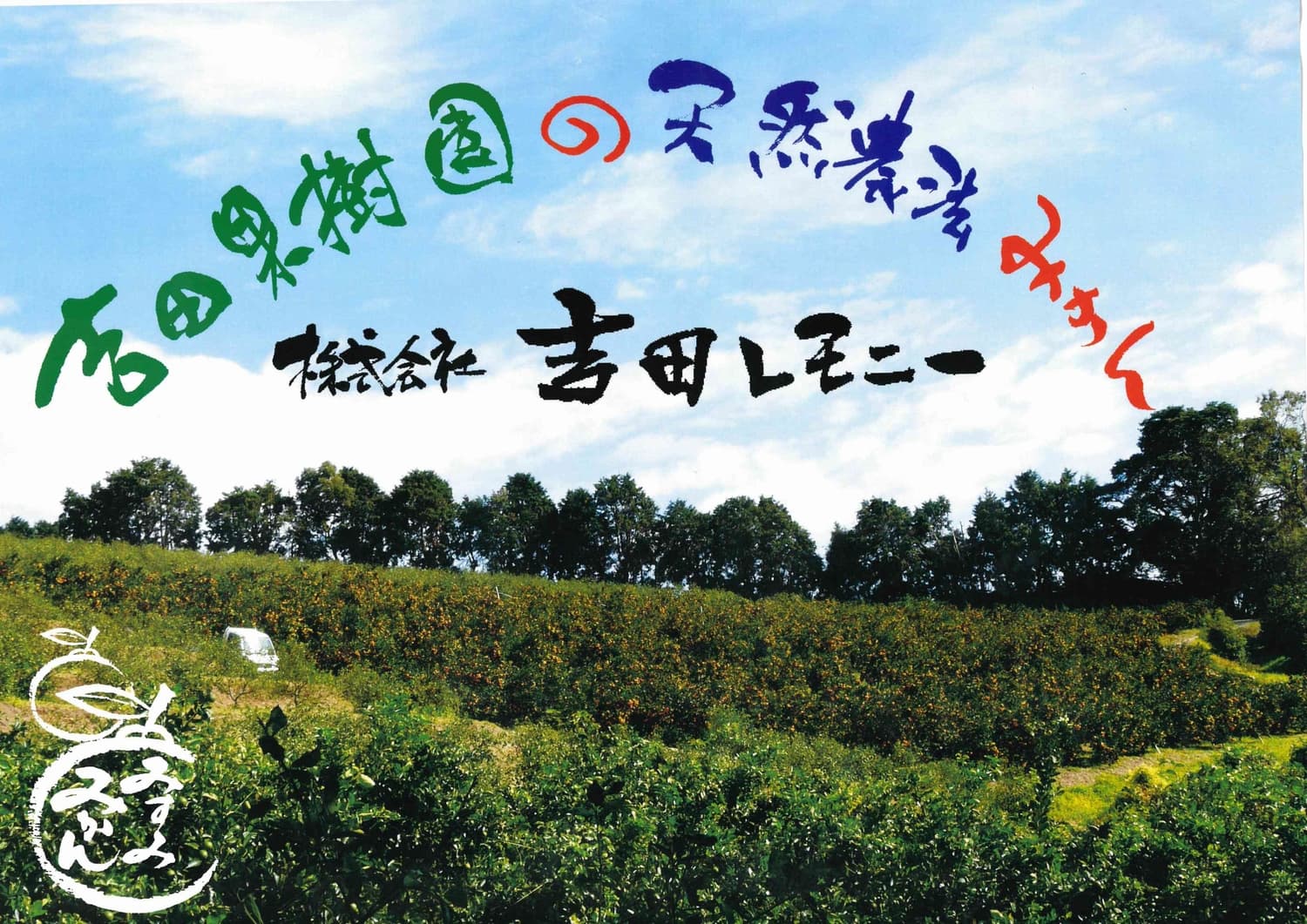 飲ãã¬ã¢ã³ ã¹ã€ãŒãã¬ã¢ããŒã 100% ãžã¥ãŒã¹ 530mlÃ2æ¬