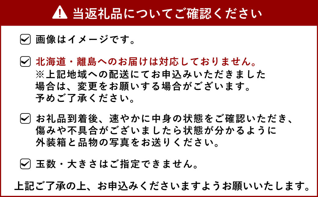 【2025年発送分 4回定期便】 宇城市産 旬の フルーツ 定期便