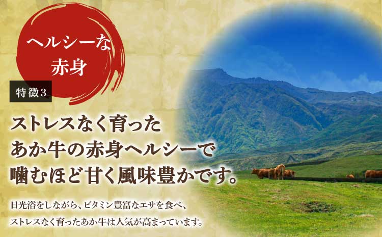くまもとあか牛 ロース スライス 600g すき焼き 鉄板焼き 国産 和牛 牛肉 地元ブランド