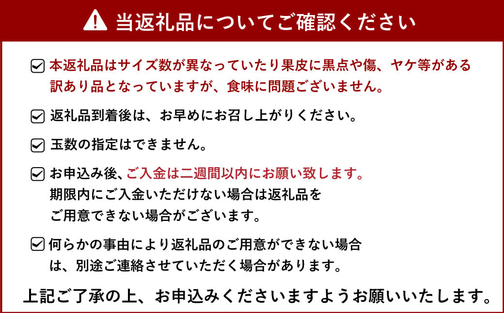 雑誌「MORE」掲載商品 不知火 訳あり品 9kg 【松川果樹園】【2025年3月上旬から4月下旬発送予定】しらぬい 柑橘