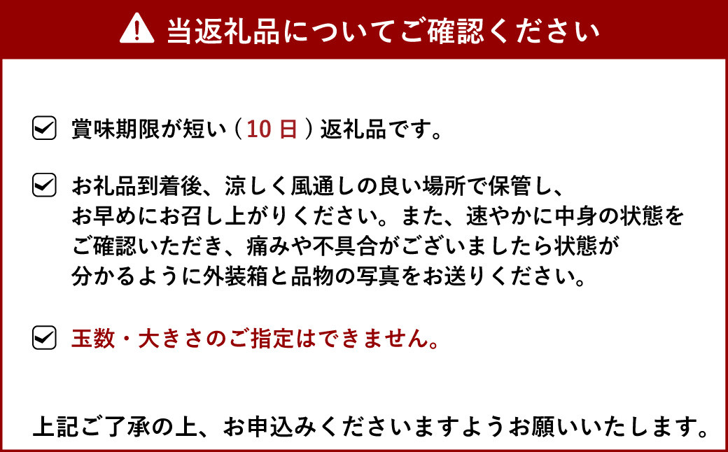 食べるレモン スイートレモネード 約2kg（15～25玉）【吉田レモニー】【2024年12月上旬～2025年6月上旬発送】檸檬 柑橘