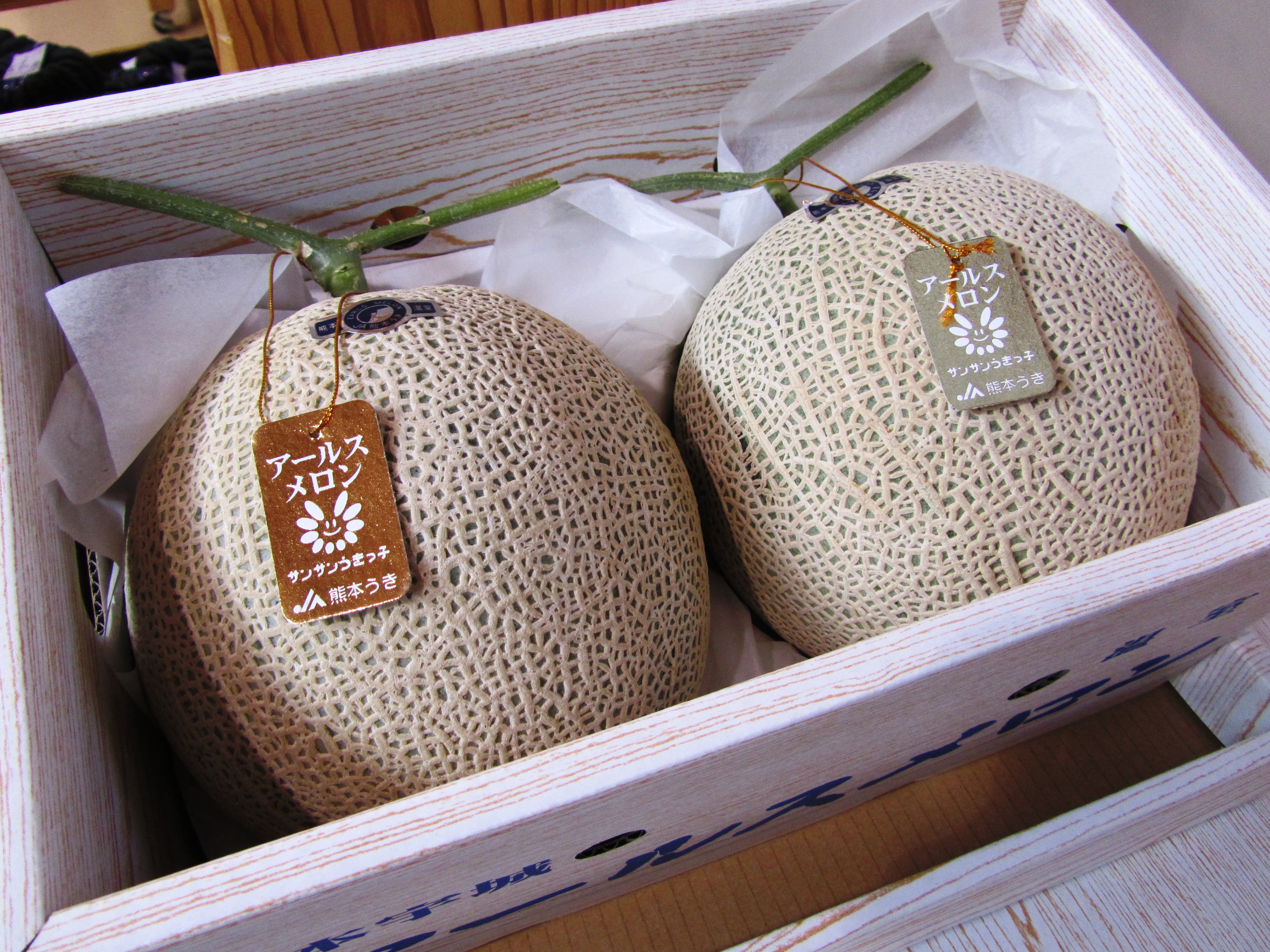 【先行予約】【2026年6月上旬〜6月下旬頃発送予定】アールスメロン 2玉入り 合計約3.4kg