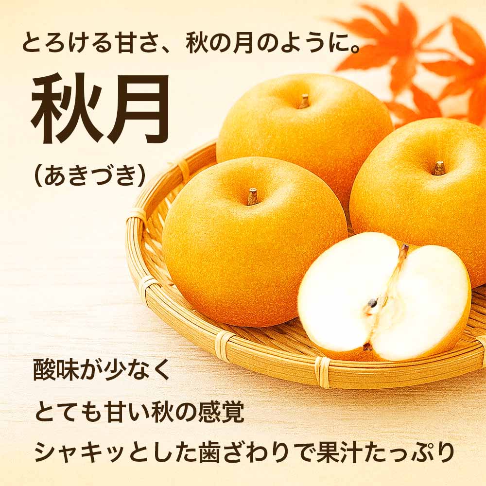 先行予約 秋月梨 約5kg（6〜18玉 ）【2026年9月上旬〜2026年9月下旬配送予定】梨 なし ナシ 和梨 秋月 あきづき 果物 フルーツ くだもの 国産 産地直送 高級 甘い みずみずしい 大きい 大玉 食感 新品種 日本フルーツ