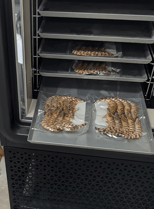 熊本県産 急速冷凍 車海老 250g(9〜13尾) 生食可 瞬間冷凍