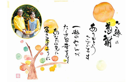 愛紅小町 あいかちゃん 約5kg 45〜55玉 【吉田レモニー】 【2024年10月上旬〜2025年1月下旬発送】温州みかん