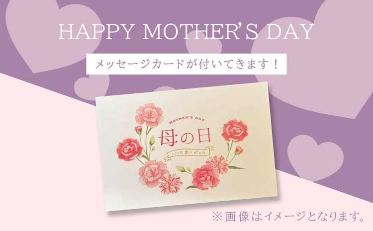 胡蝶蘭 花 母の日 ミディ胡蝶蘭 KouBou 大地 2本立ち 【2026年5月上旬頃発送予定】 プレゼント 蘭 ラン 洋蘭 ミディサイズ 観賞用 お祝い 贈答 贈答用 かわいい おしゃれ 鉢植え 風呂敷 インテリア 産地直送 送料無料 株式会社なかがわ