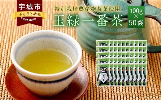 くまモン 玉緑一番茶100g 50袋セット 緑茶 日本茶 一番茶