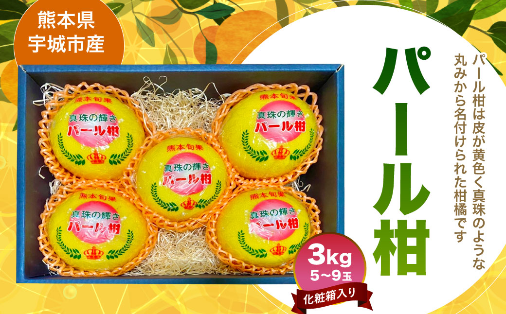 宇城市 パール柑(化粧箱入り)3kg 髙橋果樹園[2025年1月下旬から3月下旬発送予定]ぱーるかん 柑橘 フルーツ 果物 くだもの