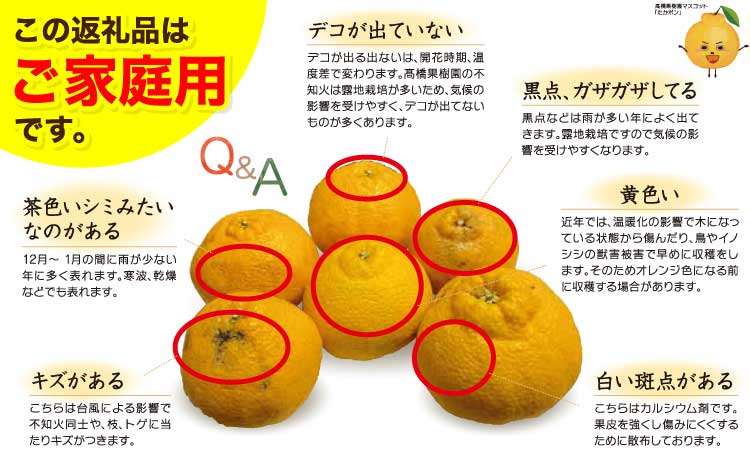 先行予約 不知火 ご家庭用 完熟不知火 約7kg 髙橋果樹園【2026年2月上旬から5月中旬発送予定】ご家庭用 不揃い キズあり ご家庭用 SDGｓ B級品 しらぬい みかん ミカン 高橋果樹園 柑橘 かんきつ 宇城市産 デコポン® 不知火発祥の地