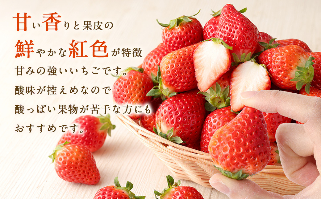 【先行予約】宇城市産 さがほのか 約2kg（約250g×8パック）【2025年1月下旬から3月上旬発送】いちご 苺