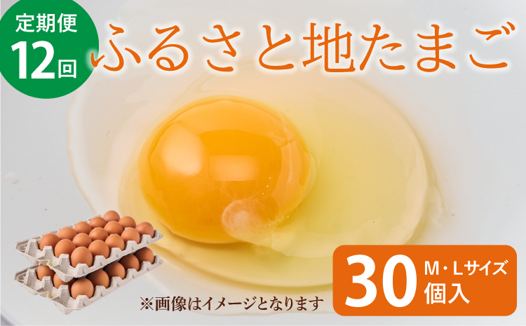 【12ヶ月定期便】ふるさと地たまご計360個（30個×12回）1回あたり5個破損補償含む