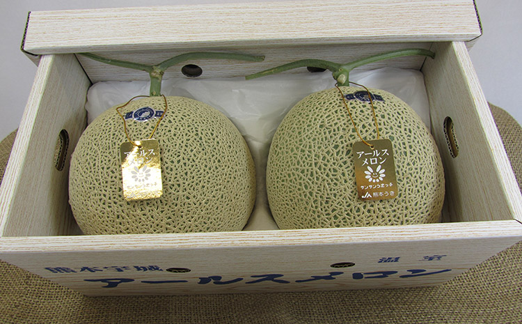 【先行予約】【2026年6月上旬〜6月下旬頃発送予定】アールスメロン 2玉入り 合計約3.4kg