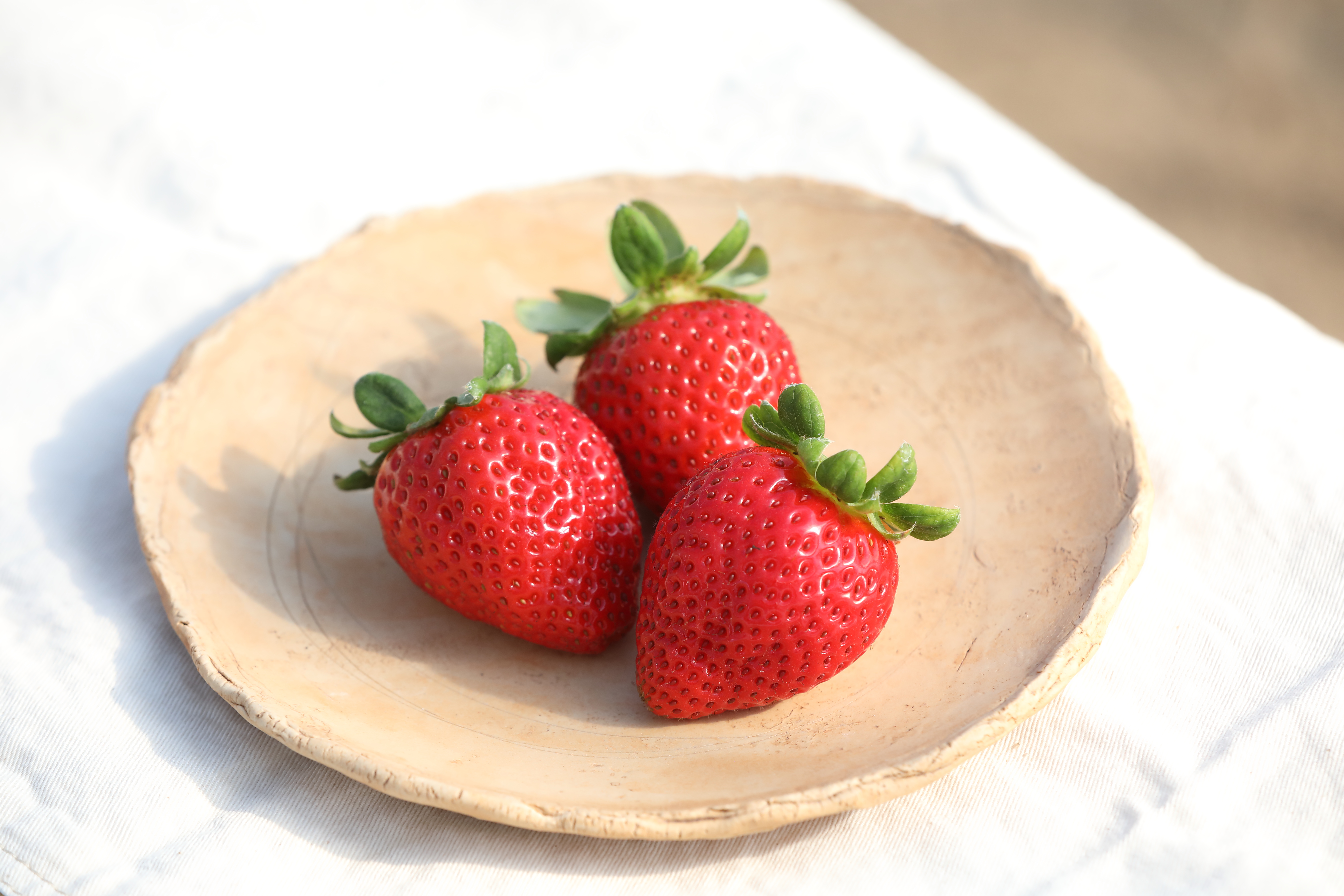 【定期便3ヶ月】完熟冷凍いちご「ぷち苺」1kg 500g×2パック 園村苺園