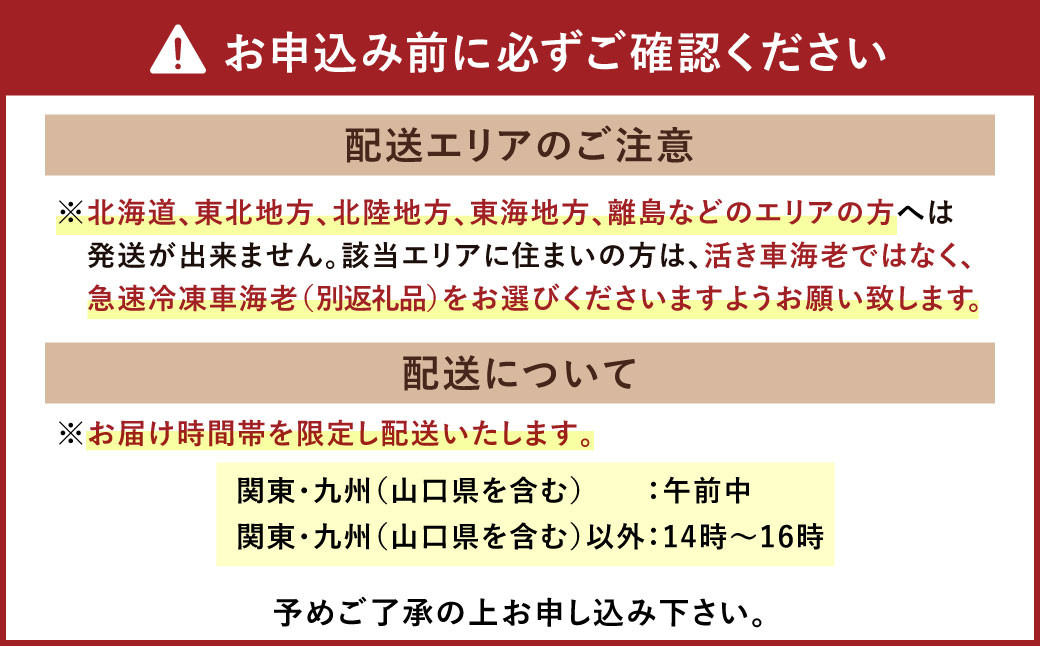 熊本県産 活き車海老 約600g（20～30尾程度）