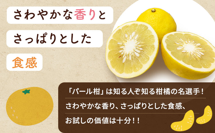 【先行予約】 熊本県宇城市産 パール柑 約10kg 【2026年2月上旬から4月中旬発送予定】文旦 柑橘 フルーツ 果物 果実 みかん 蜜柑 ミカン