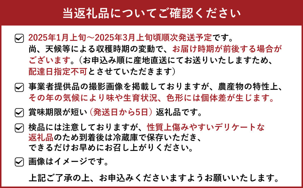 【JA熊本うき】いちご 恋のぞみ 平詰め（250g×6パック）合計1.5kg【2025年1月上旬～3月上旬発送予定】苺 イチゴ