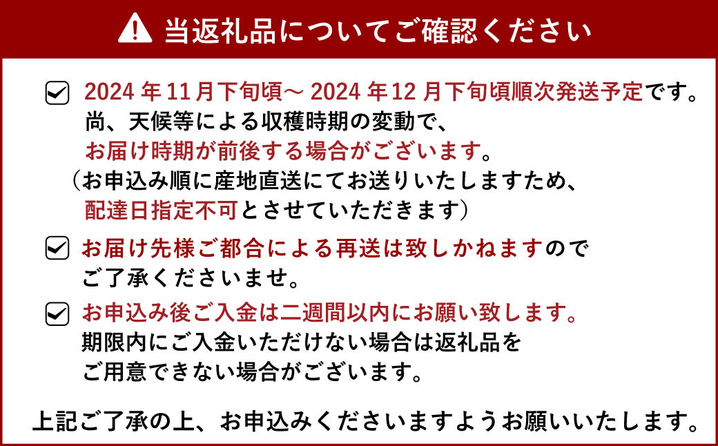 宇城市産 尾崎 早生 温州みかん 8kg（60個前後） ひでみかん 【11月上旬から12月下旬発送予定】柑橘 果物 くだもの お取り寄せ 熊本県 宇城市