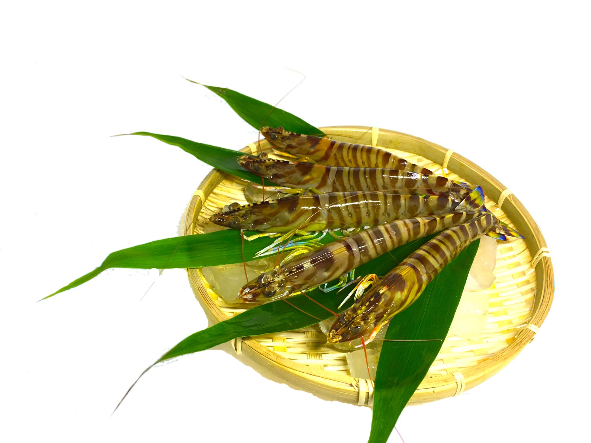 特殊冷凍 車海老 (大サイズ) 250g×1パック 熊本県産