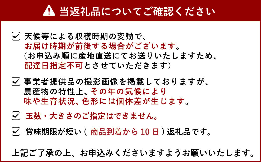 津の輝（つのかがやき）約3kg（15玉～25玉）【吉田レモニー】【2月上旬～3月下旬発送予定】みかん 柑橘