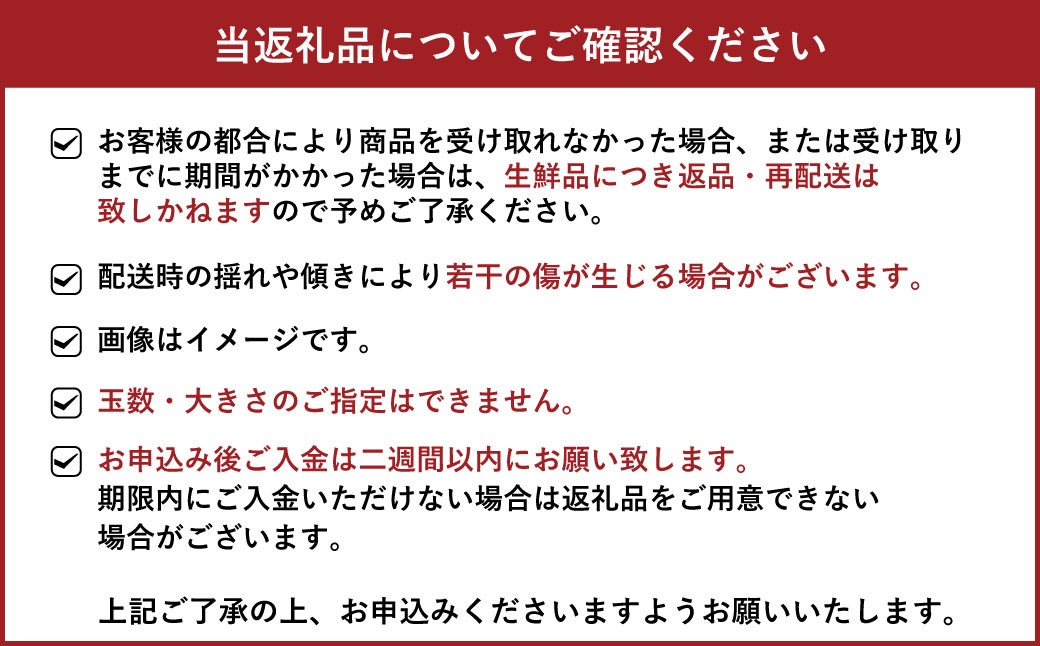 【訳あり】海沿い育ちの 爽やか 河内晩柑 約7kg（14～25玉）晩柑【2025年3月下旬～4月下旬発送予定】【河野柑橘園】ばんかん かわちばんかん