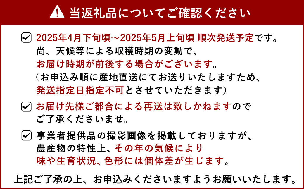 クインシーメロン 4玉入り 合計約5kg【サンサンうきっ子宇城彩館】【2025年4月下旬から5月上旬発送予定】メロン