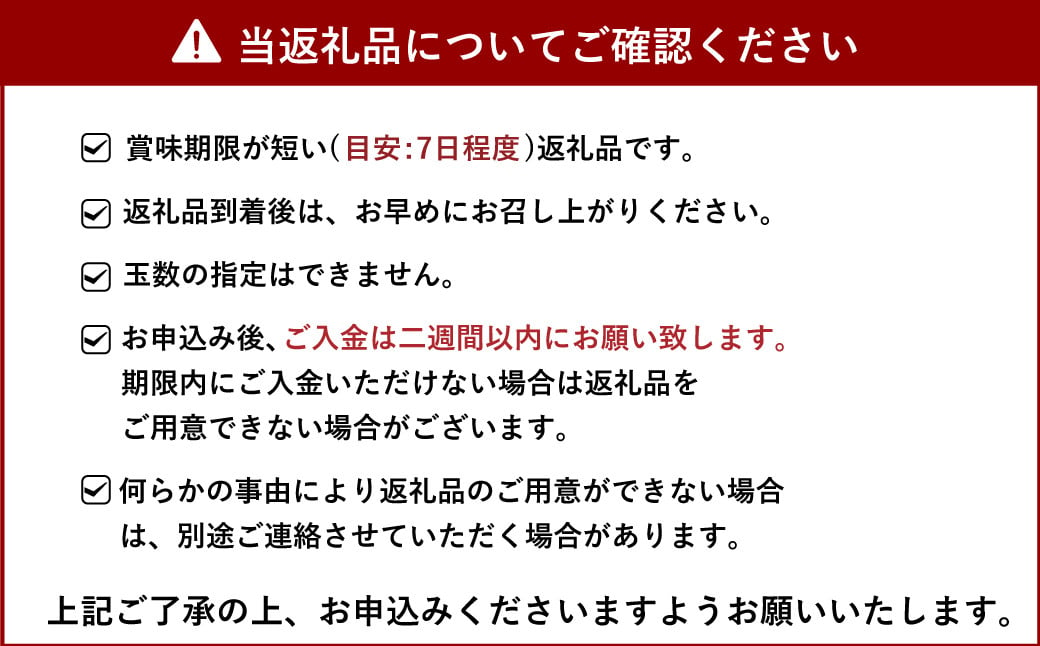 雑誌「MORE」掲載商品 不知火 5kg 【松川果樹園】【2025年3月上旬から4月下旬発送予定】しらぬい 柑橘