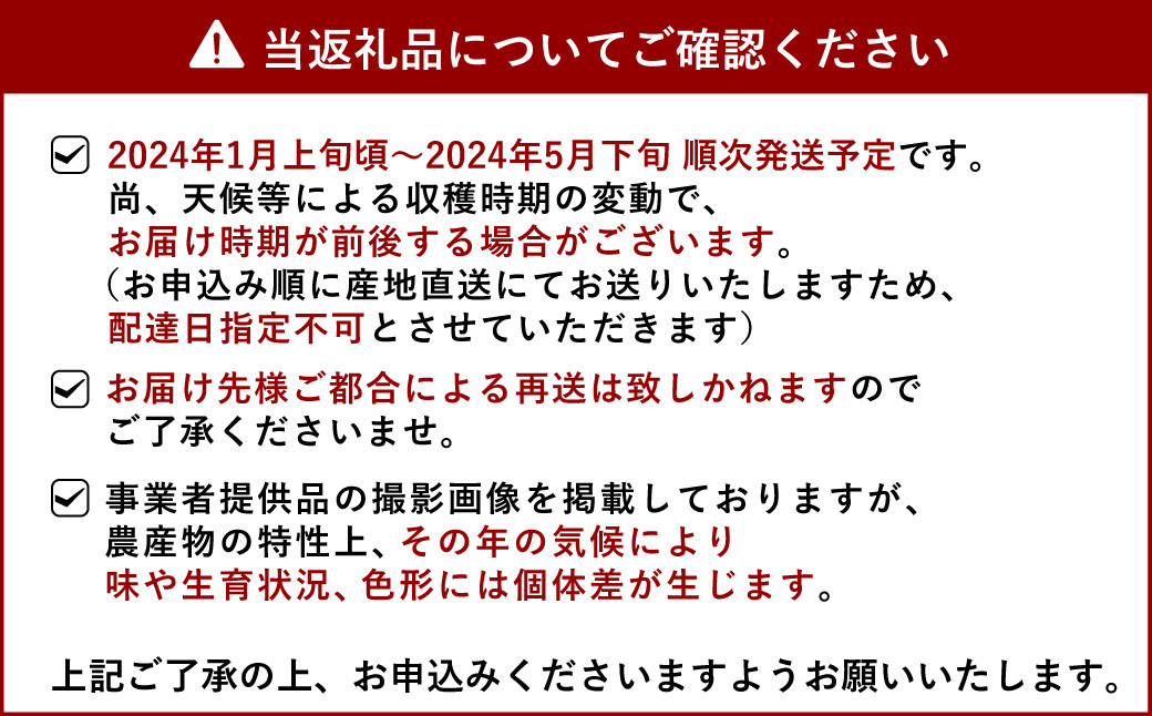 【2024年1月上旬〜順次発送予定】はるか 約3kg（15玉〜20玉）吉田レモニー みかん 柑橘