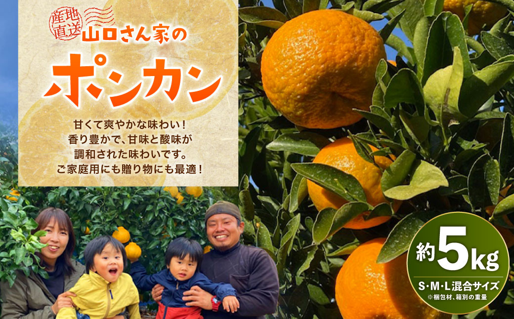 【先行受付】【2024年1月下旬より順次発送予定】今が旬！山口さん家のポンカン 約5kg 柑橘 果物 フルーツ