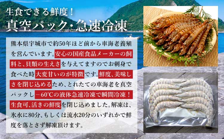 車海老の特製醤油漬け丼 70g×7パック 計490g