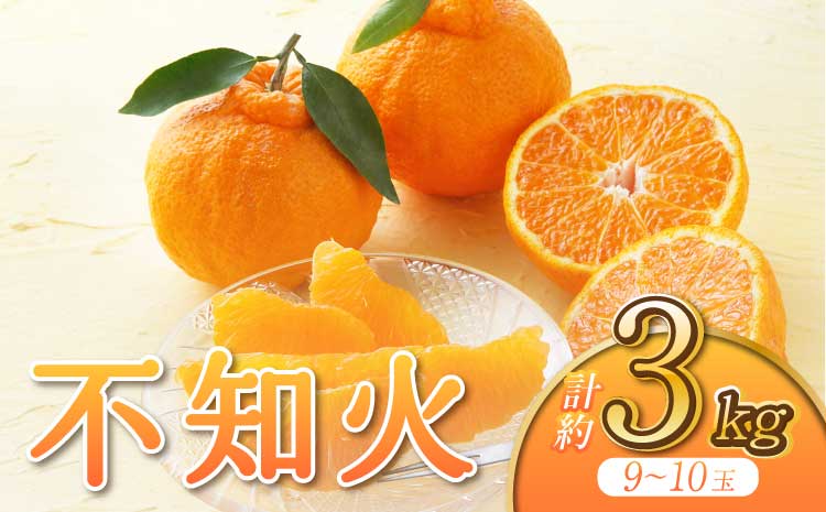 【先行予約】【2026年3月上旬から6月下旬発送予定】【うちやま果樹園】不知火 約3kg
