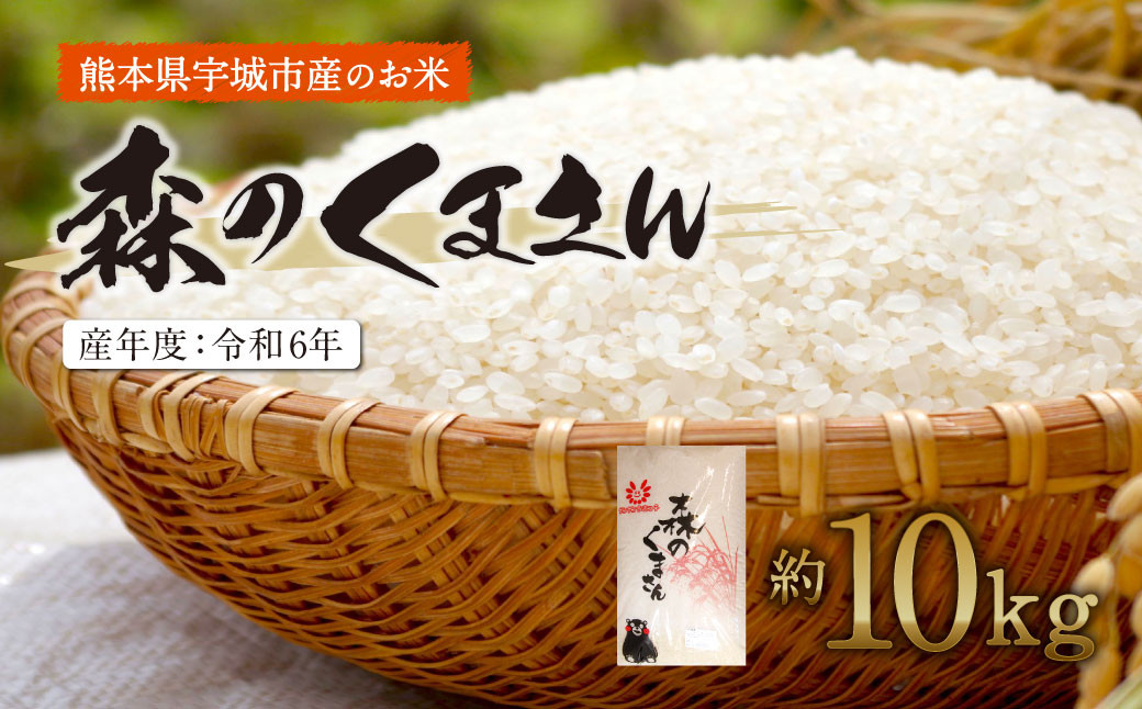 【令和6年産】森のくまさん 精米 約10kg【2025年10月下旬までに発送予定】米 精米