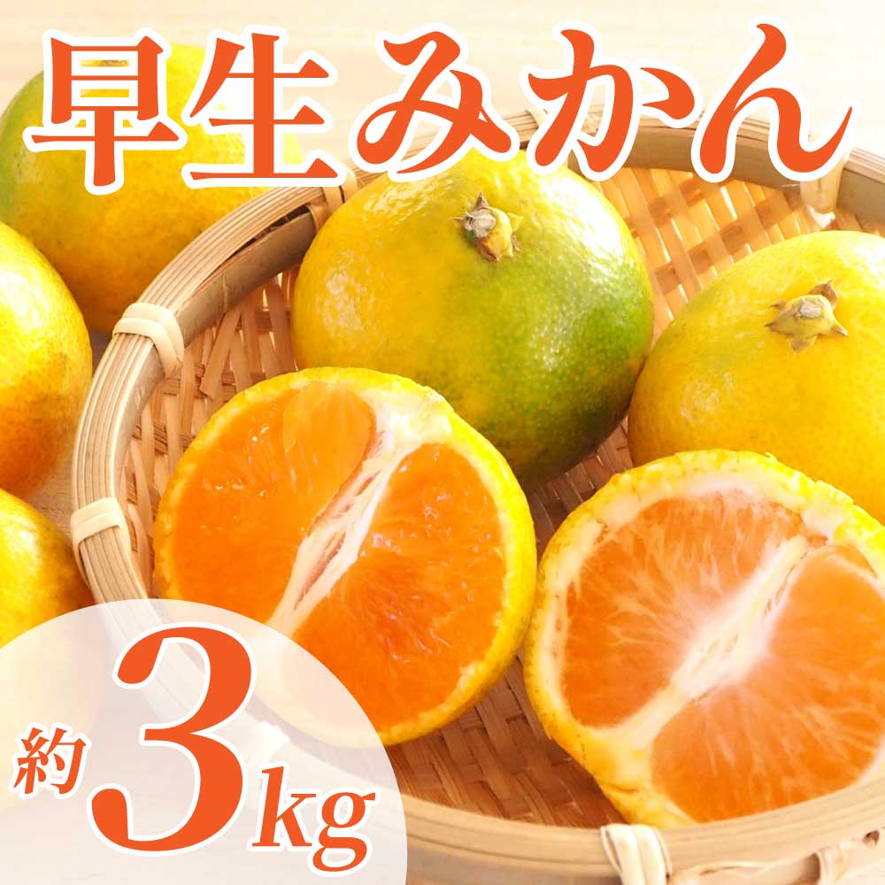 先行予約 早生みかん 約3kg（2S~2L）【2026年11月上旬〜2026年11月下旬配送予定】 みかん ミカン 早生みかん フルーツ 果物 柑橘 かんきつ蜜柑 熊本県 熊本 九州 宇城市 国産 高糖度 甘い ジューシー みずみずしい 果汁 酸味 日本フルーツ