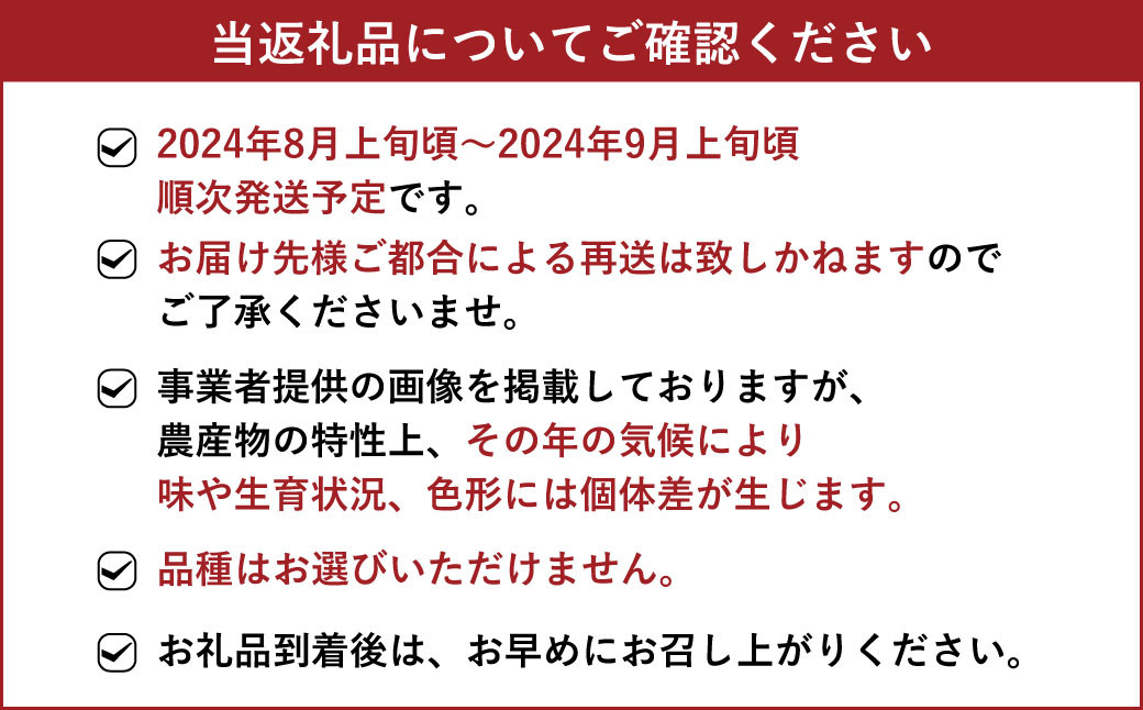 紅瑞宝 べにずいほう 約1kg 2～3房 河野ぶどう園【8月上旬～9月上旬発送予定】