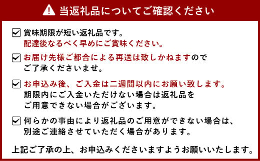 いちご 恋のぞみ 約400g×2パック 合計約800g 【12月上旬から2025年3月下旬発送予定】いちご イチゴ 苺 恋のぞみ フルーツ くだもの 果物 熊本県産 宇城市