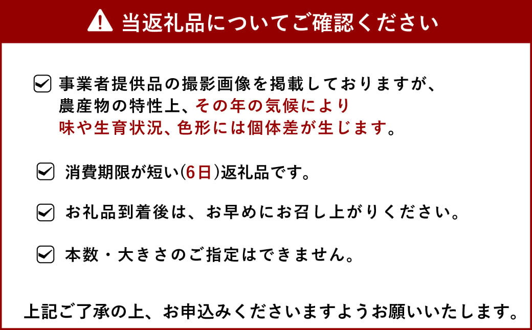 【2023年5月上旬から順次発送】極甘スイートコーン 約4kg トウモロコシ とうもろこし コーン